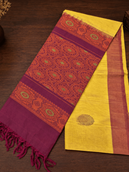 Injection Saree 19