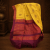 Injection Saree 19